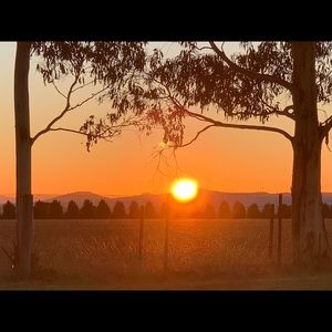 Meet your Posher, Sarahann